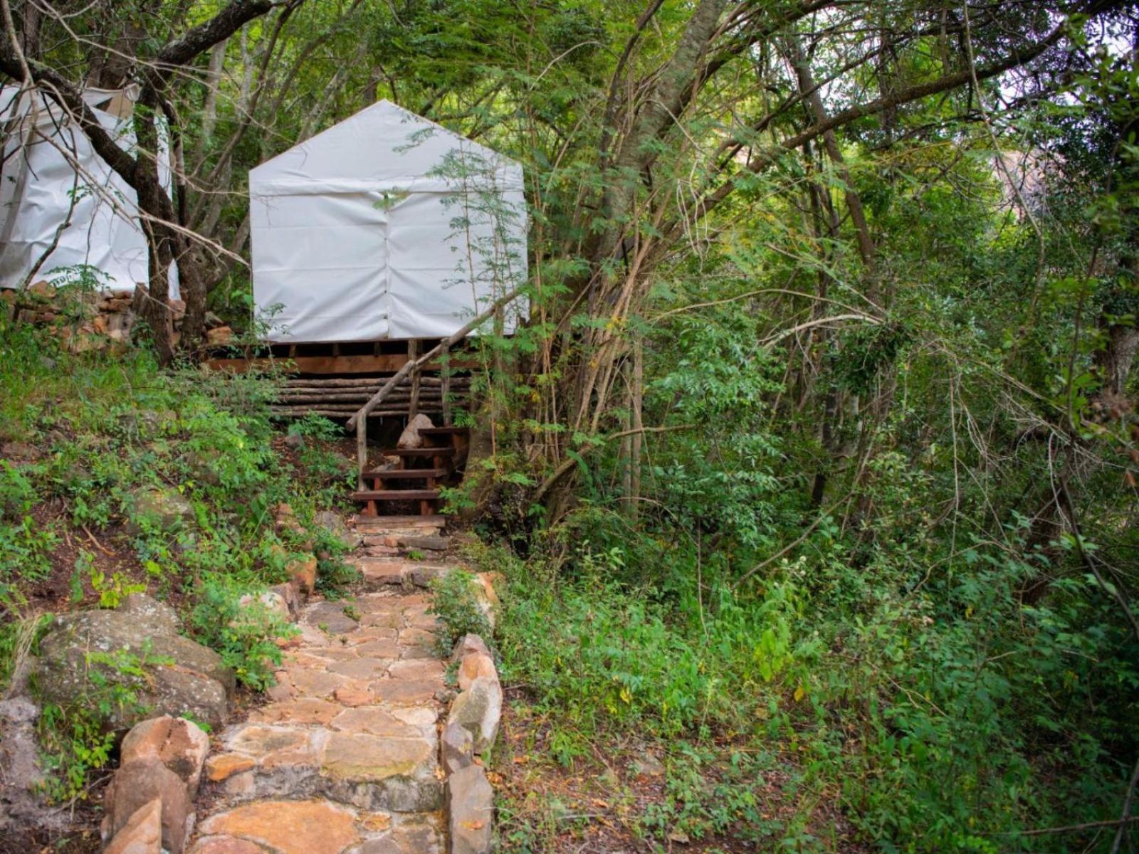 Riverbed Africa Lydenburg Buitenkant foto