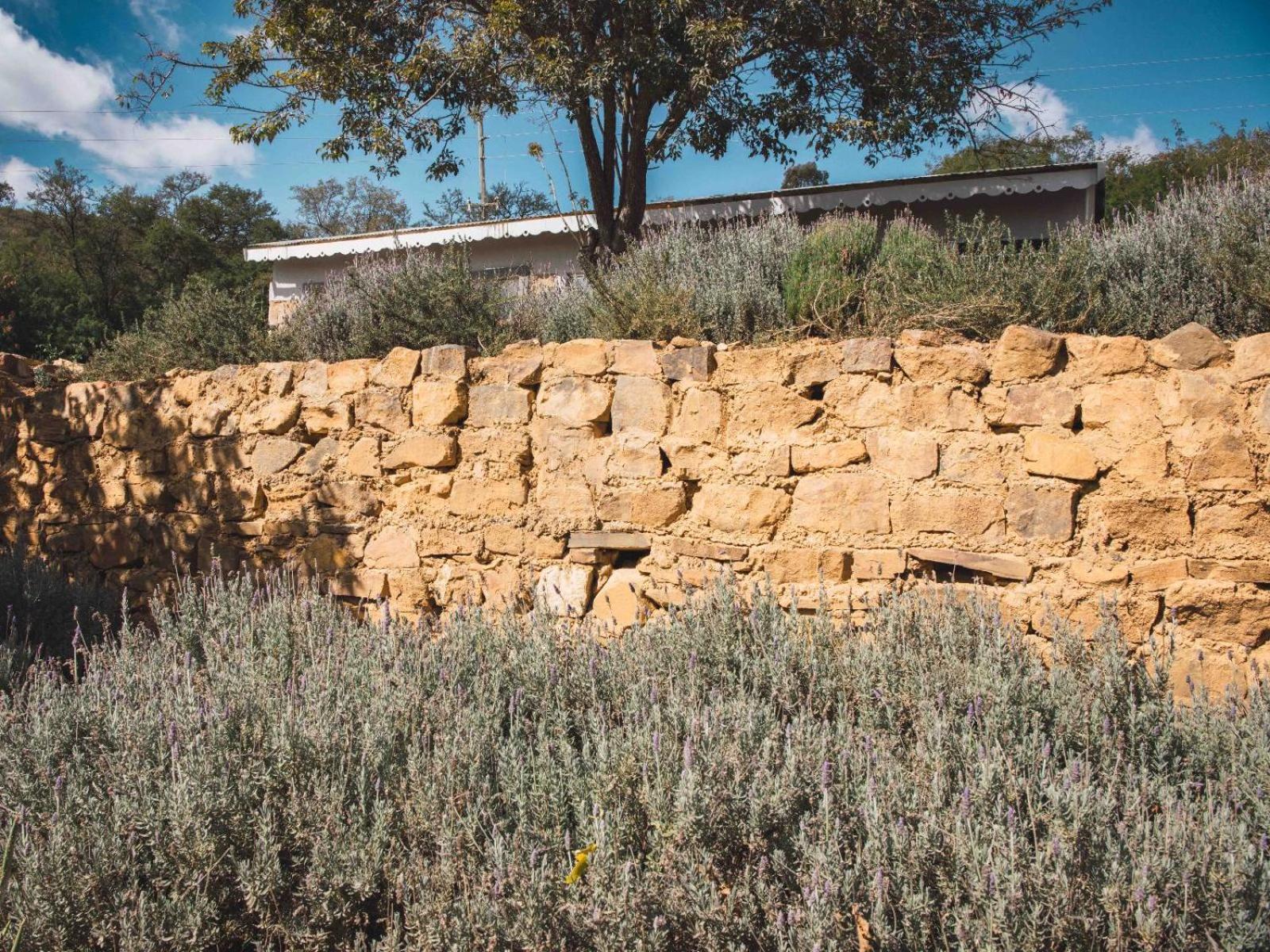 Riverbed Africa Lydenburg Buitenkant foto
