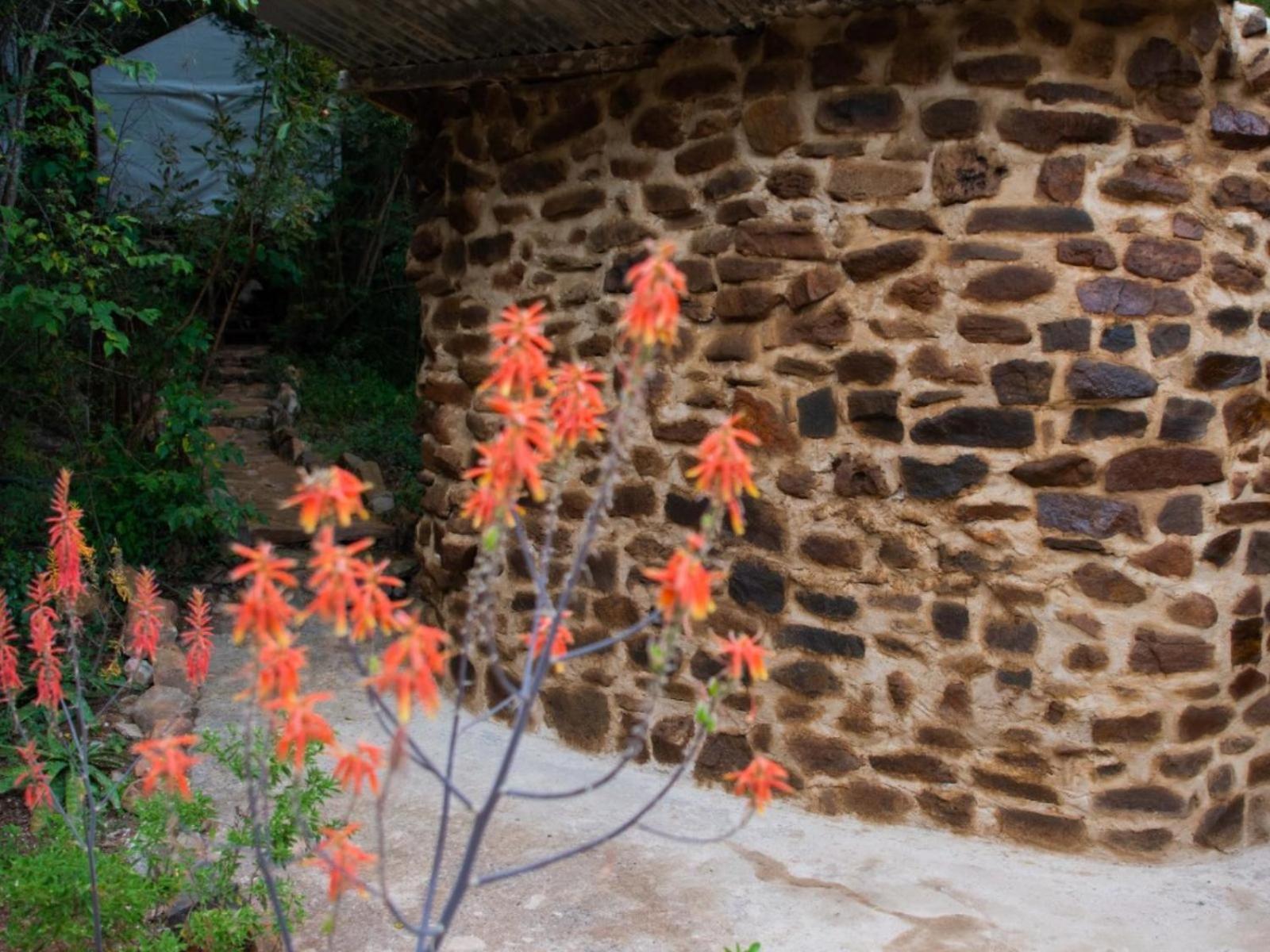 Riverbed Africa Lydenburg Buitenkant foto